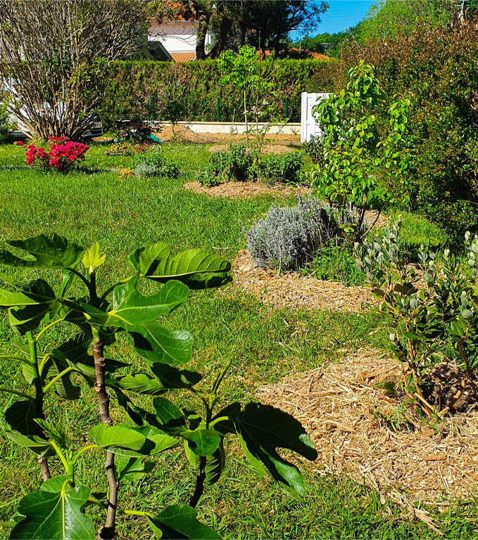 Permaculture Garden in France